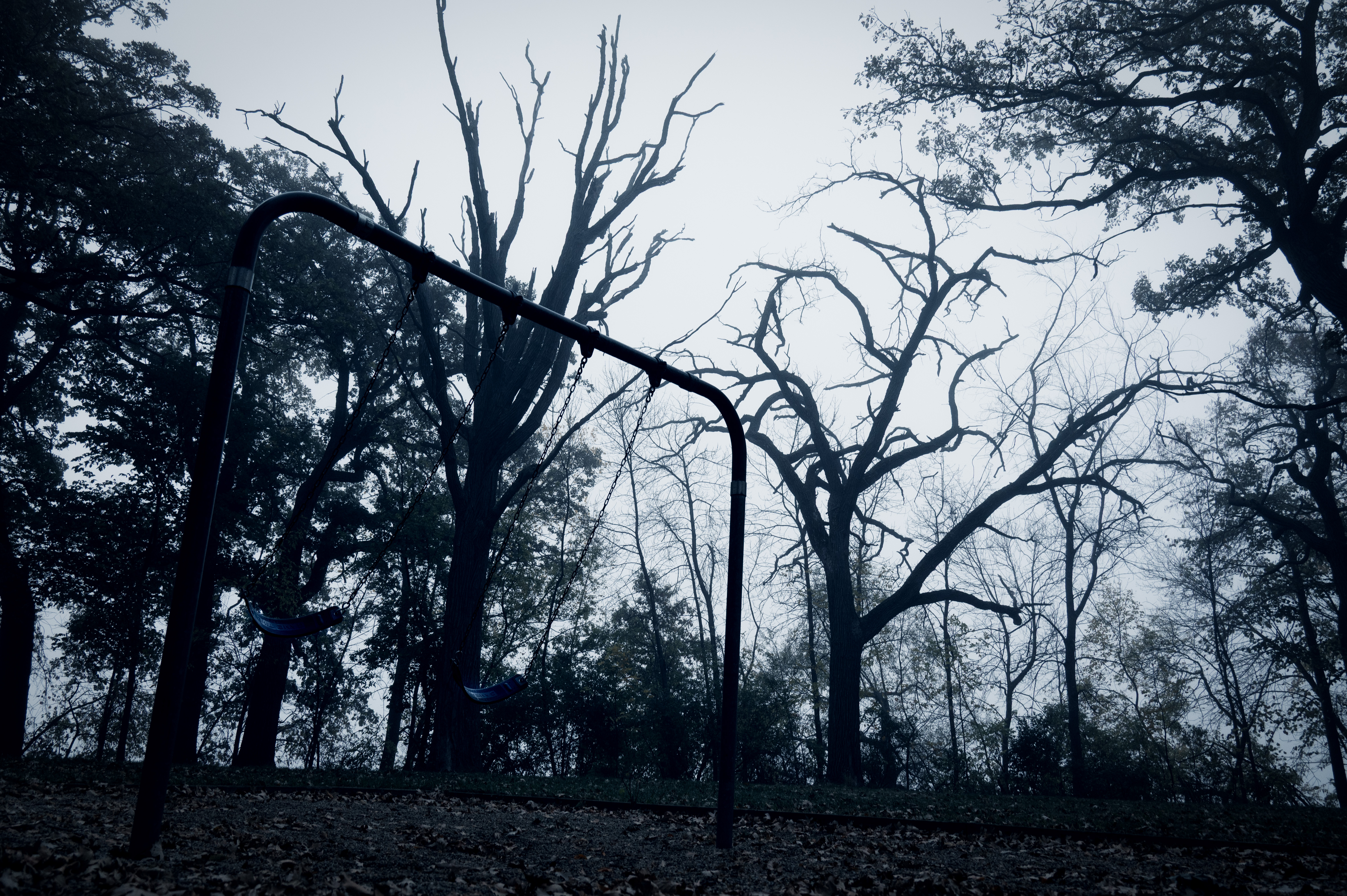 Morning Creepies photo 3