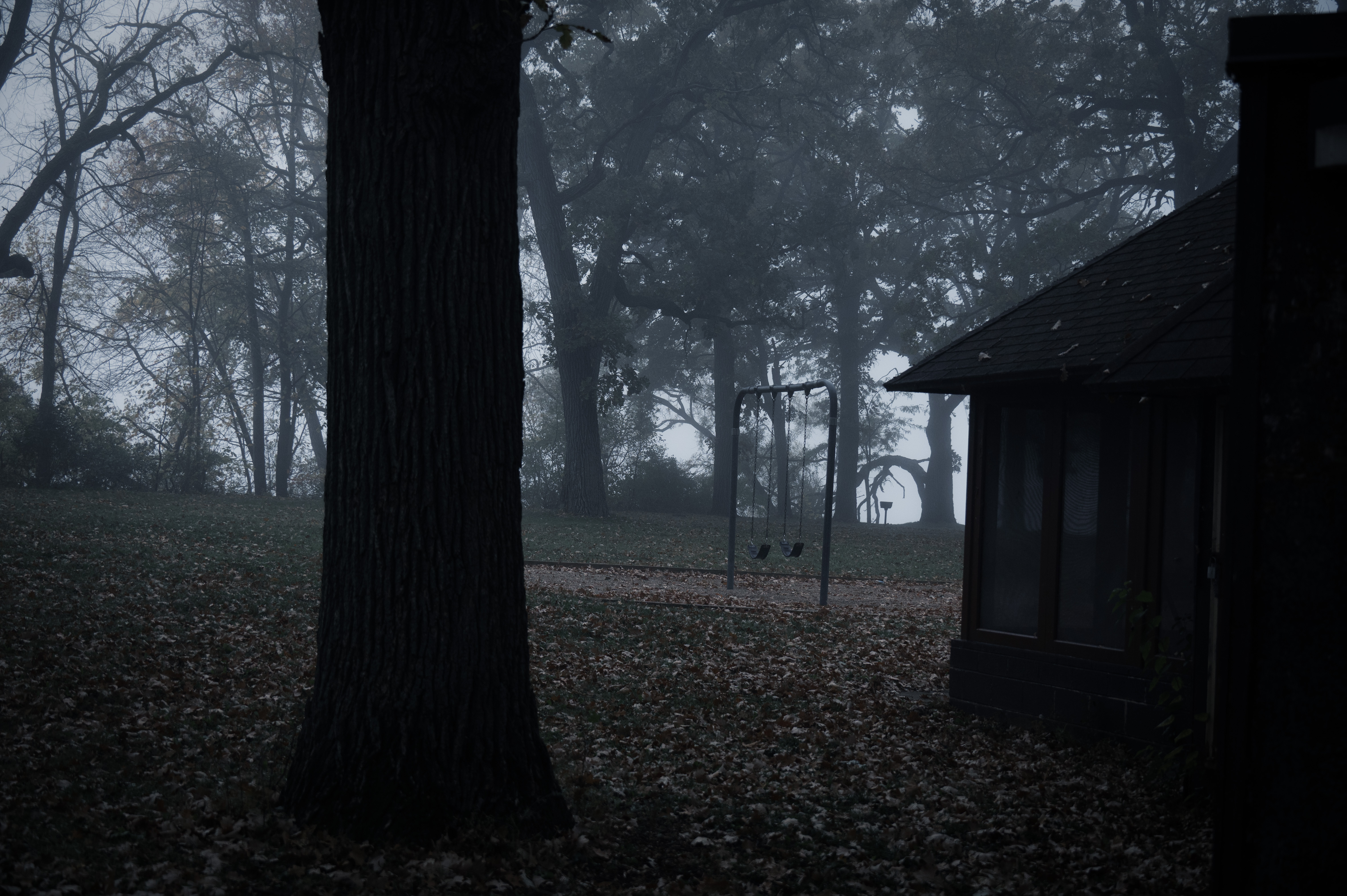 Morning Creepies photo 4