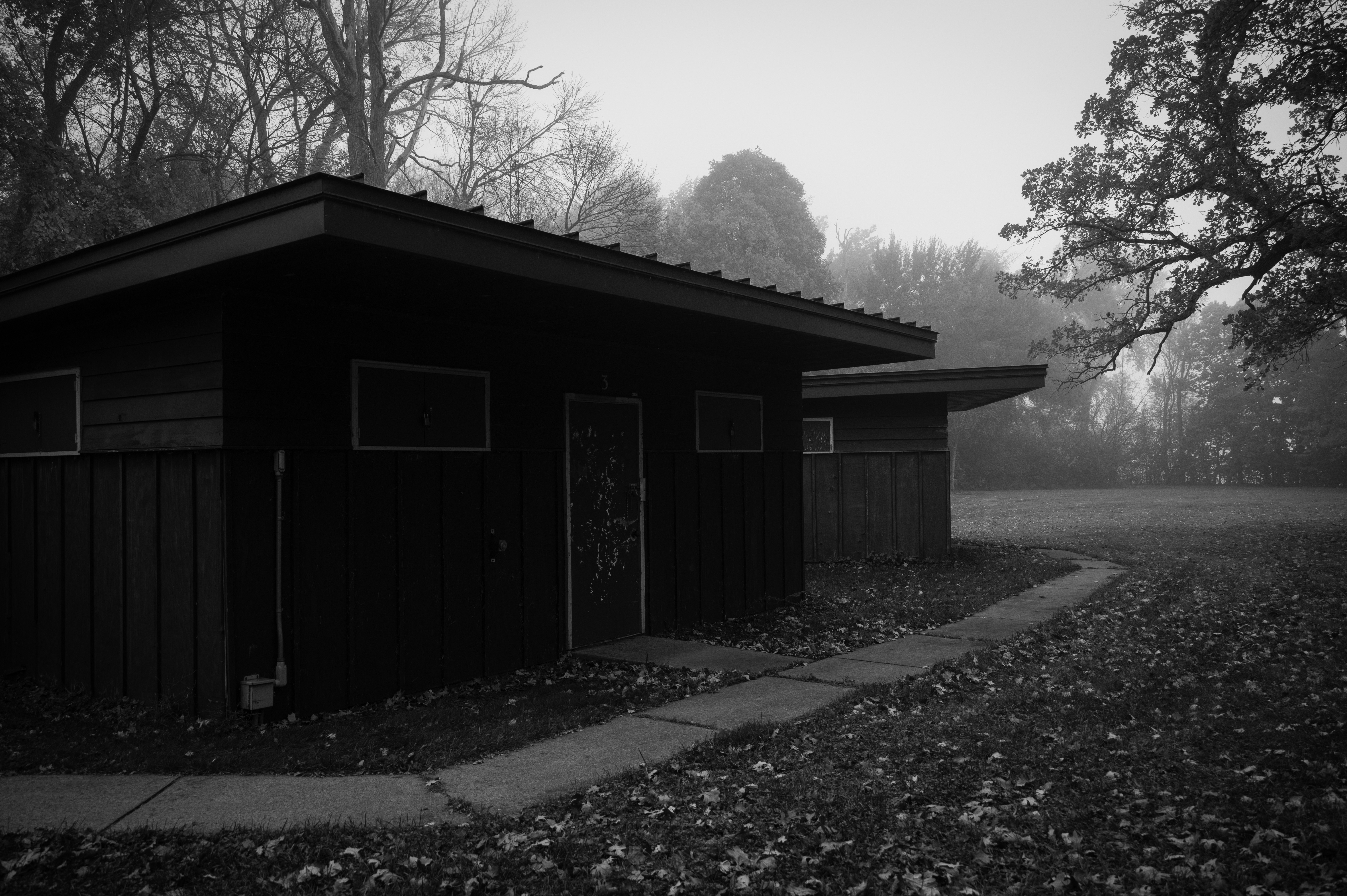 Morning Creepies photo 5