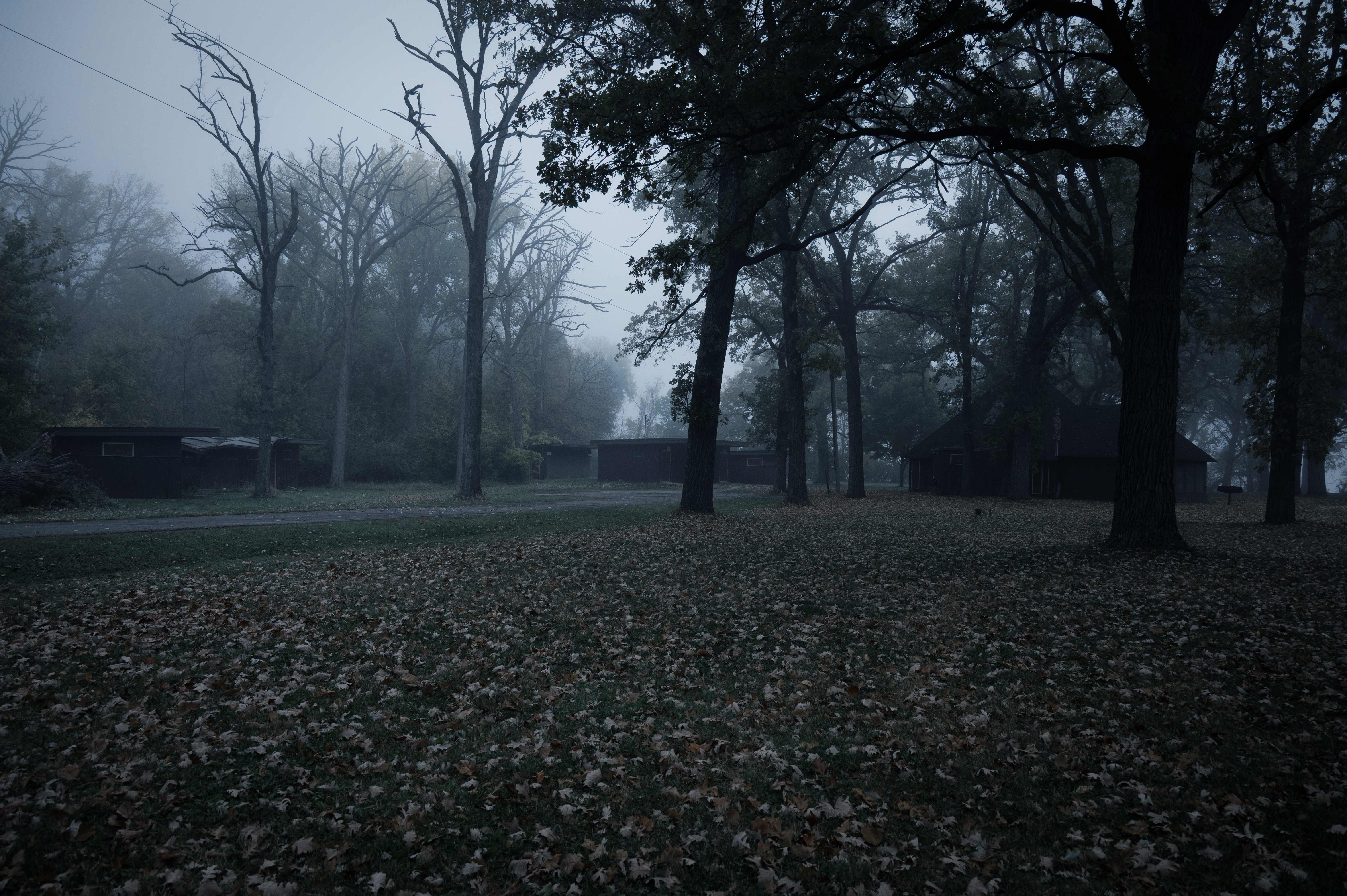 Morning Creepies photo 6