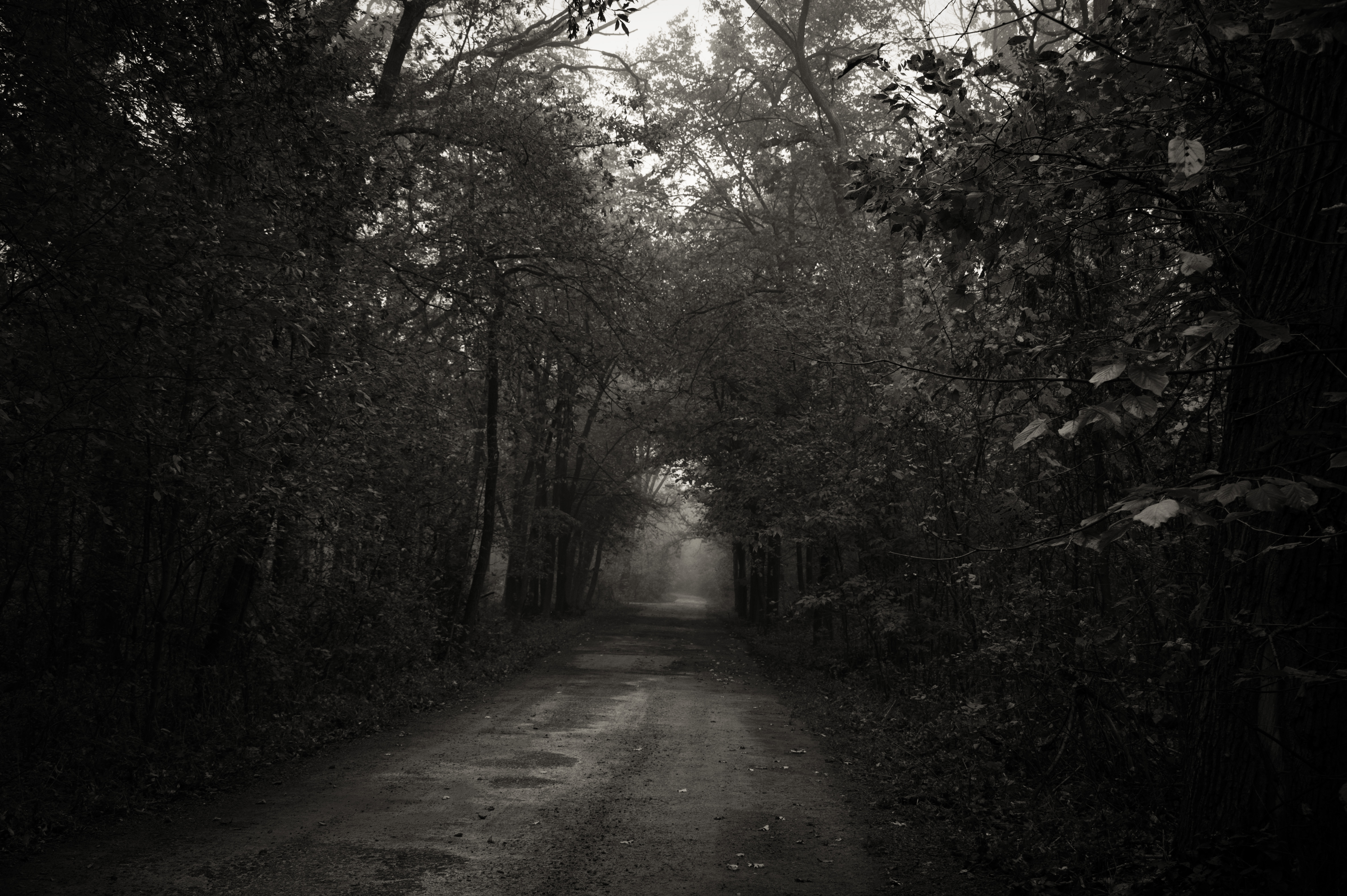 Morning Creepies photo 7
